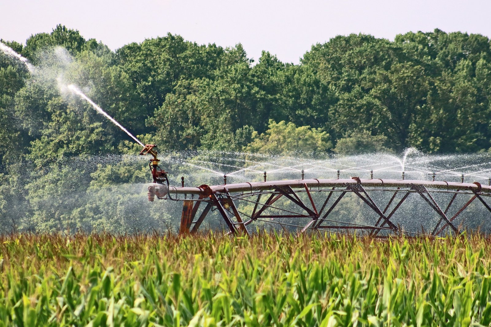 Irrigação Inteligente – Agricultura Moderna