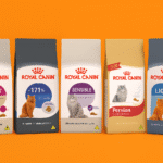 royal canin ração para gatos